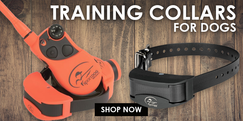 Dog Training Collars